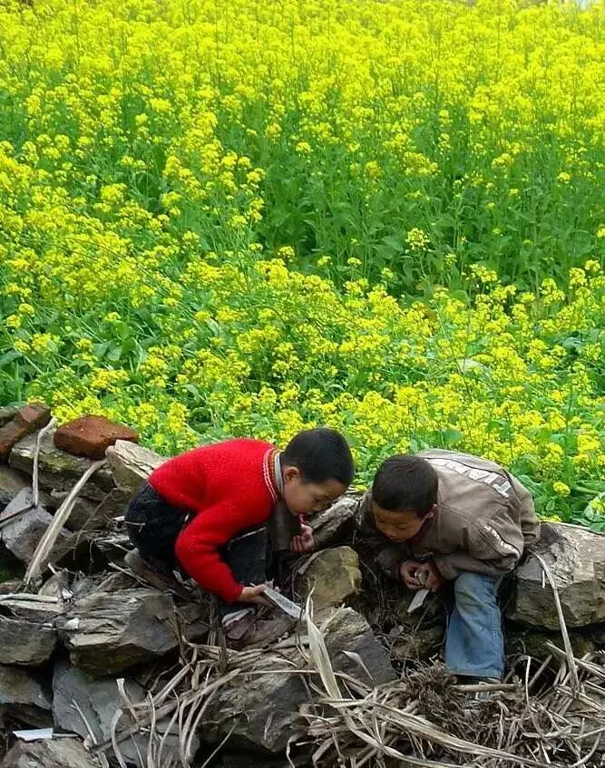 People clearing a mountain road together.