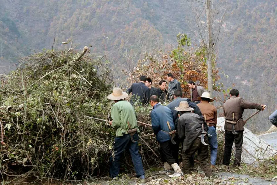 Villagers clearing branches together on a mountain road.