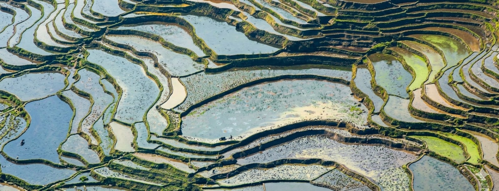 Terraced hills rising above a mountain village.